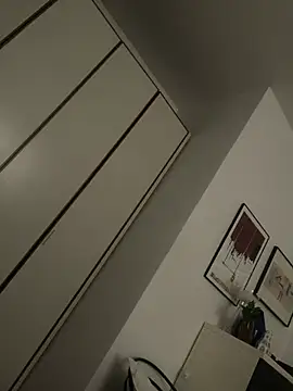 ANONIMO7735 webcam