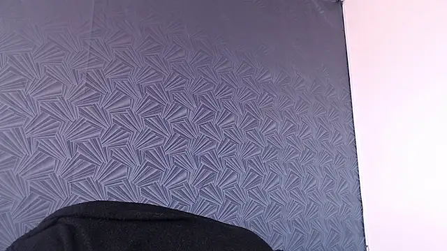 Freyja_eter webcam