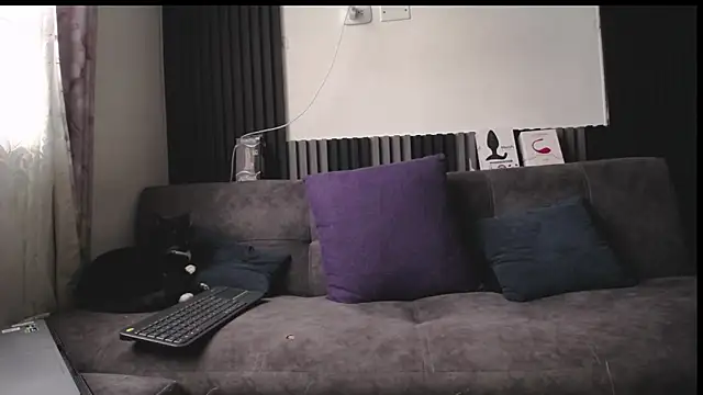 Santiago_kiler webcam