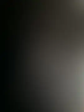 Fjome webcam