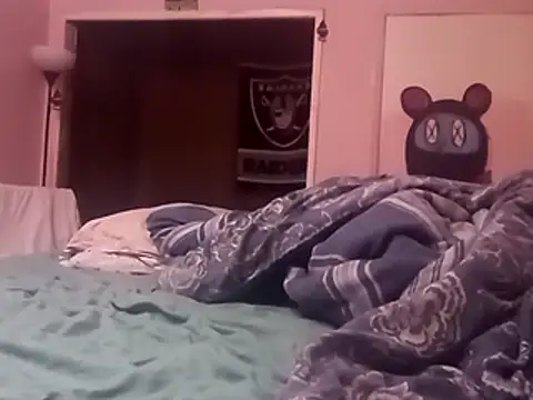Blkstylion webcam