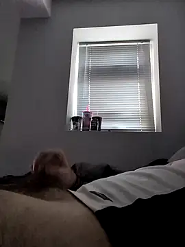 TriforceSteve webcam