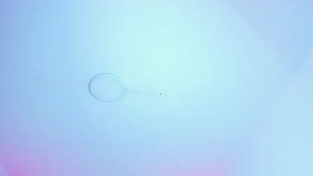 EsperanzaMora webcam