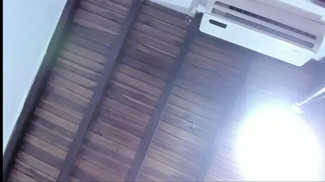 DilanAndKing webcam