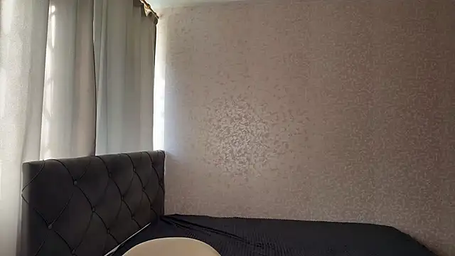 dalvos webcam