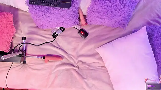 ibb1e webcam
