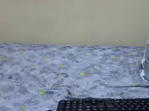 prettysilviaa webcam