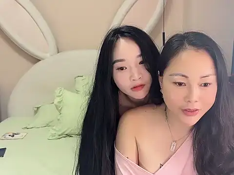 cro-J webcam