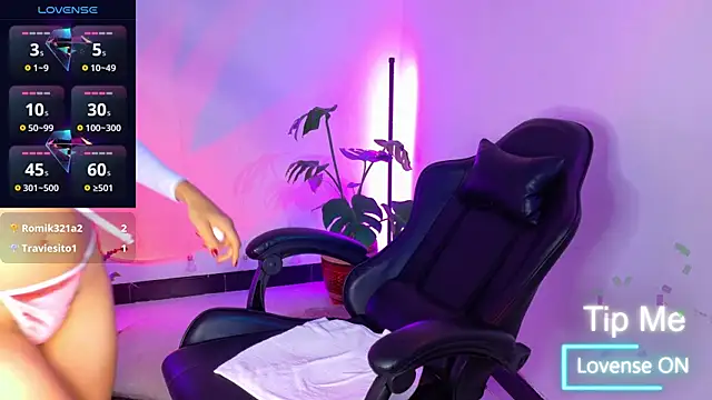 Sarasavage webcam