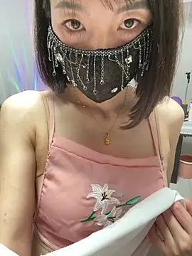 fafade2588 webcam
