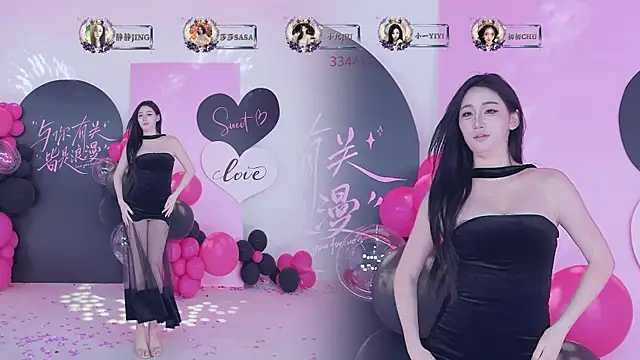TY-002 webcam