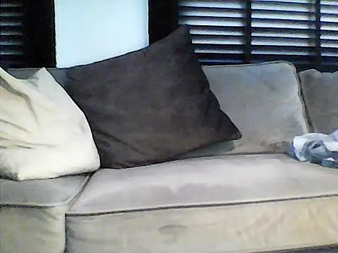 perlados webcam