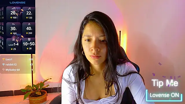 Sarasavage webcam