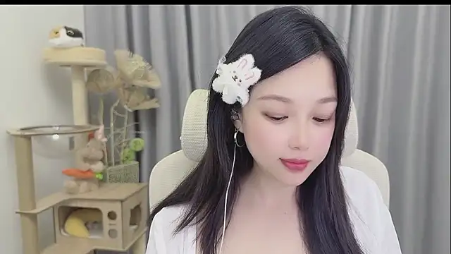 facai-feifei webcam
