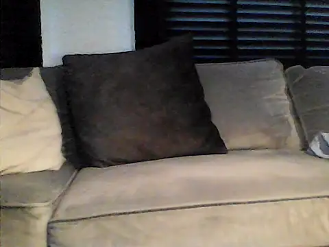 perlados webcam