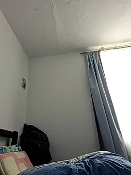 IrisBound webcam