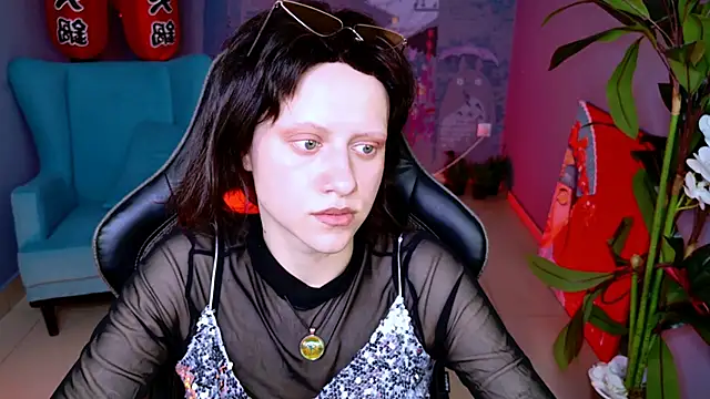 LidaDarknet webcam