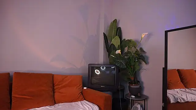 AriaCatrool webcam