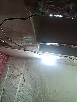 Deepjakolirr webcam