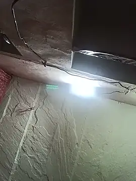 Deepjakolirr webcam