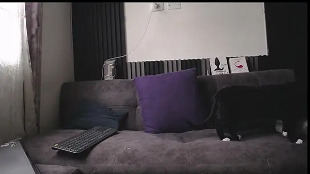 Santiago_kiler webcam