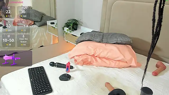 Liastarkk webcam
