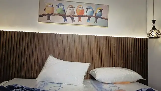 valeriavg webcam