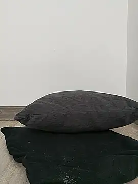 Fleurmeyer79 webcam