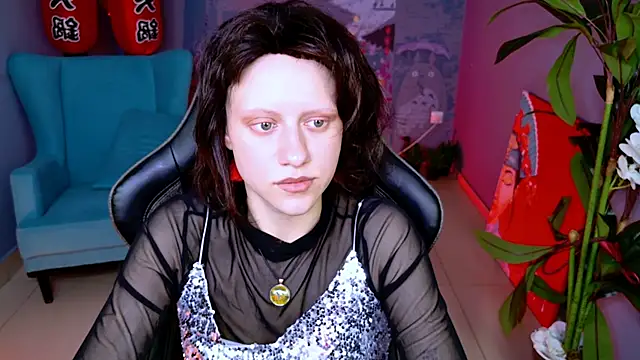 LidaDarknet webcam