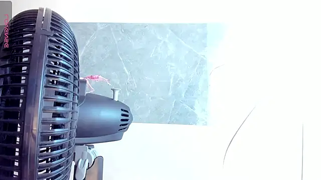 horus_gil webcam