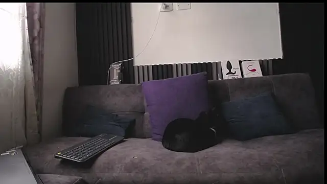 Santiago_kiler webcam