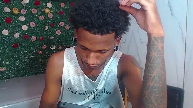 ManSant webcam