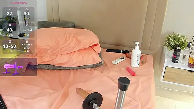 Liastarkk webcam