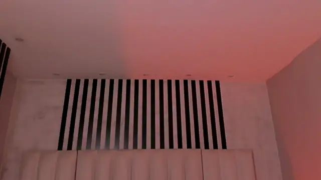 ErikaBenz_ webcam