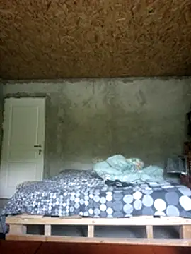 florin421 webcam