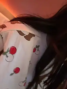 DarkDesin webcam
