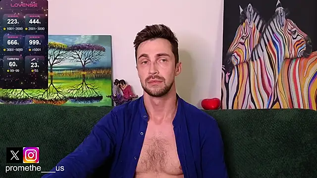 Promethe_us webcam
