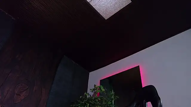 miia_stonne webcam