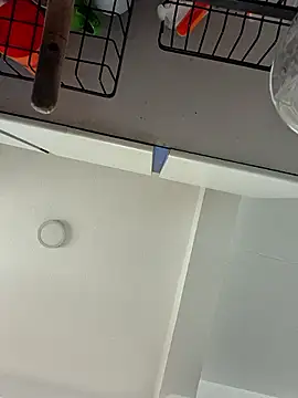 IrisBound webcam