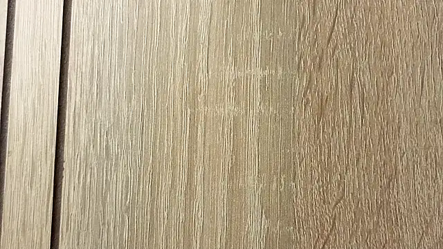 NoFace_Model webcam