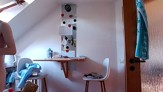 yourhengst webcam