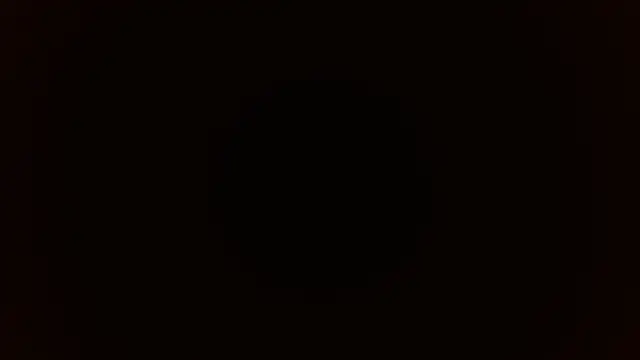 snowflake_xxx webcam