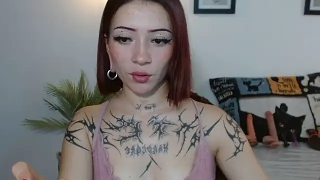 Evanss_lx webcam