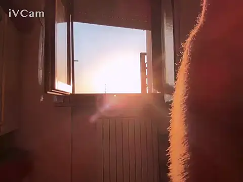 PierPesaroX live cam