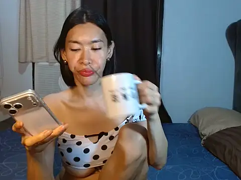 1perfectmodel webcam