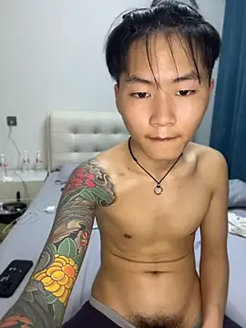 KKX808 webcam