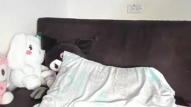 Eirlysx webcam