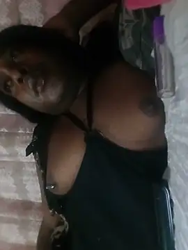 Hellentrans24 webcam
