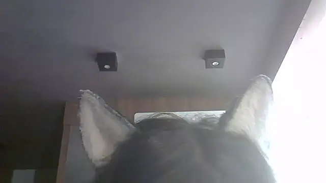 skinnykitten - SkinnyKitten's free webcam - UK Sex Cams