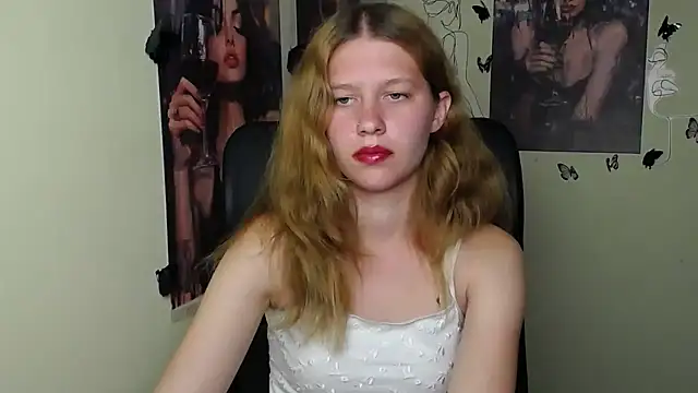 StellaCRL webcam